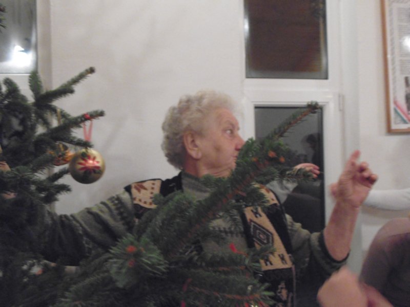 p1030137.jpg